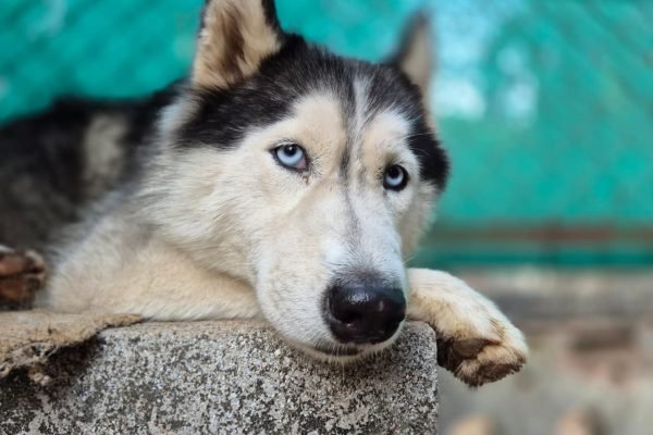 WhatsApp Image 2026-03-02 at 12.49.23 PM